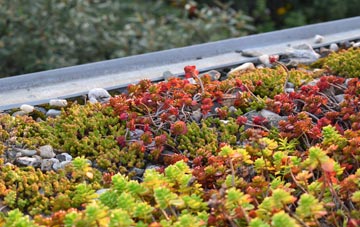 the cost of Bishops Offley green roof installation