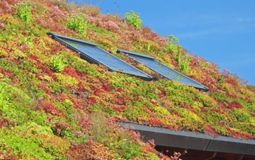 Bishops Offley living roof systems